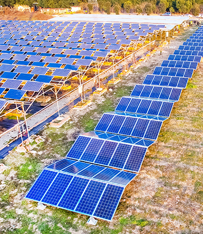 센타에너지(주)