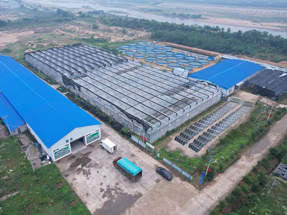 Solar Power Containers for 자체 제공 전원 공급 장치